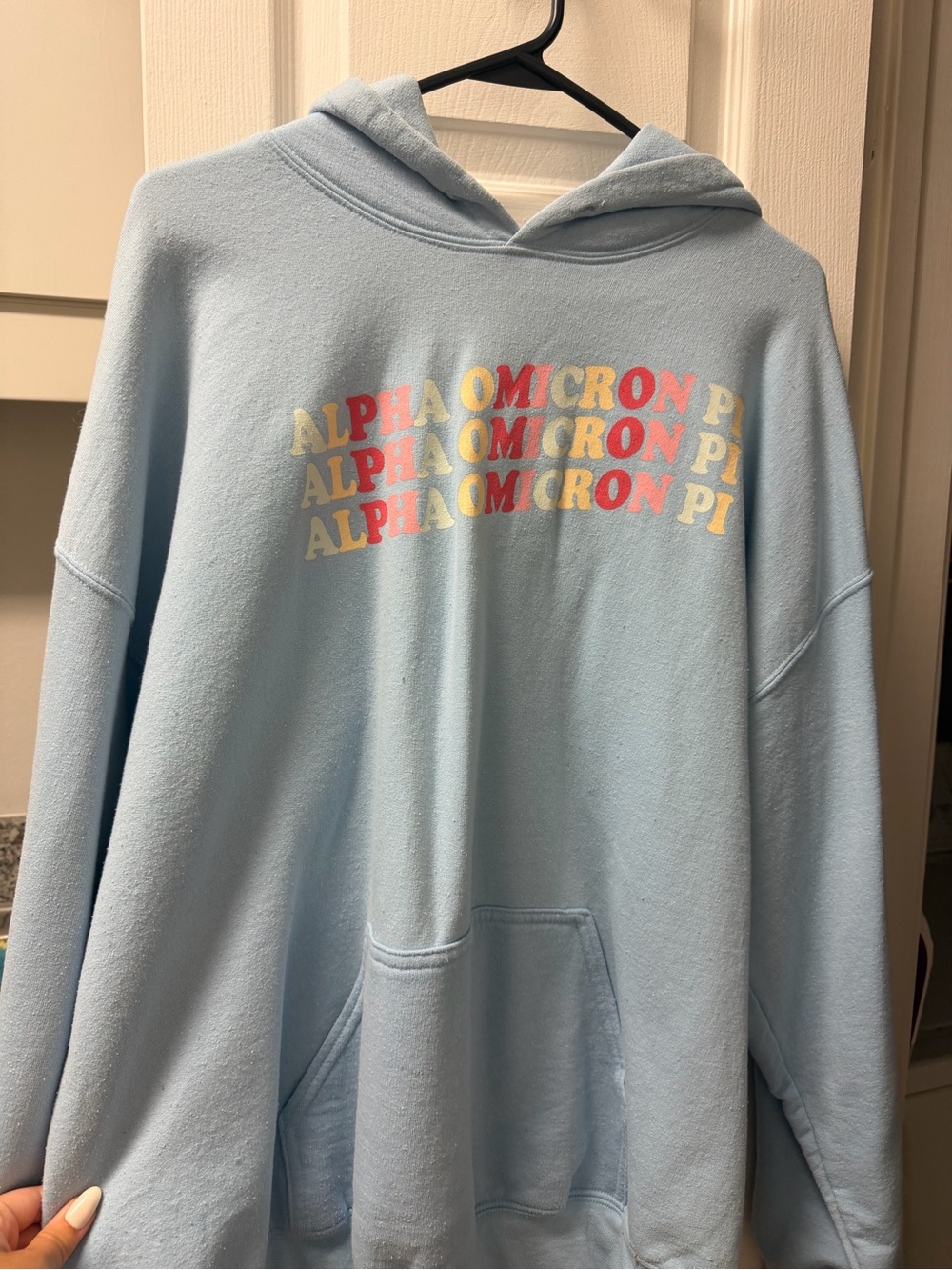 Light Blue Alpha Omicron Pi Graphic Hoodie
